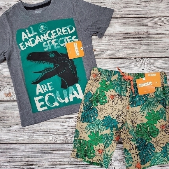 Gymboree Jurassic World Dinosaur Print T-Shirts & Matching Shorts Bundle 4T NWT - Picture 7 of 16